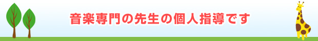音楽専門の先生の個人指導です
